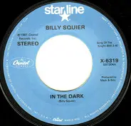 Billy Squier - In The Dark