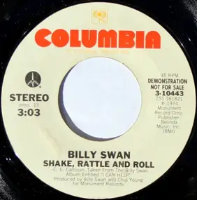 Billy Swan - Shake, Rattle And Roll