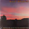 LP - Billy Walker - Wakin' Up To Sunshine