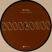 Bip Soup - Microbe's Wedding
