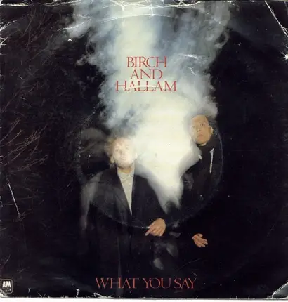 Birch And Hallam - What You Say