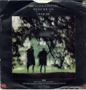 7inch Vinyl Single - Birch And Hallam - What You Say