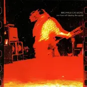 Birchville Cat Motel - Our Love Will Destroy The World