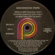 LP - Birchwood Pops - Gonna Fly Now / Evergreen / Car Wash
