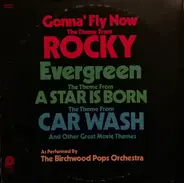 Birchwood Pops - Gonna Fly Now / Evergreen / Car Wash