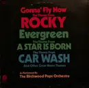 LP - Birchwood Pops - Gonna Fly Now / Evergreen / Car Wash