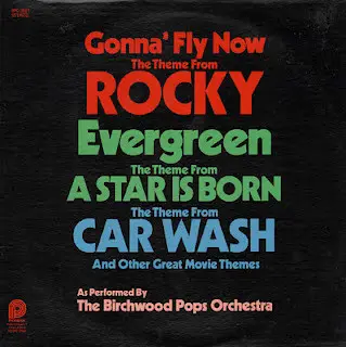 Birchwood Pops - Gonna Fly Now / Evergreen / Car Wash