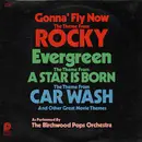 LP - Birchwood Pops - Gonna Fly Now / Evergreen / Car Wash