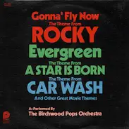 Birchwood Pops - Gonna Fly Now / Evergreen / Car Wash