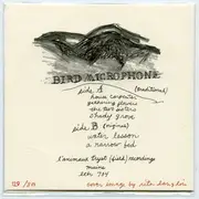 7inch Vinyl Single - Bird Microphone - Memory Days