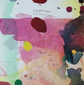 BIRD ON THE WIRE - Elephanta