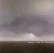 Birddog - Songs from Willipa Bay