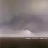 Birddog - Songs from Willipa Bay
