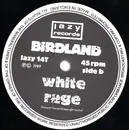 12'' - Birdland - Paradise