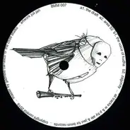 Birdsmakingmachine - Birdsmakingmachine 007