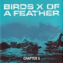 7inch Vinyl Single - Birds Of A Feather - Chapter 5 - EP, insert
