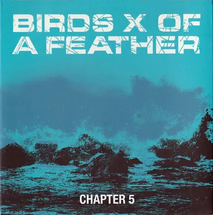 Birds Of A Feather - Chapter 5