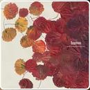 12inch Vinyl Single - Birds Ov Paradise - Till Dig