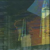 Birds OV Paradise - Konstrukt 010