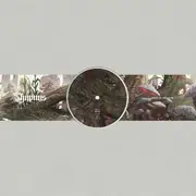 12inch Vinyl Single - Birds Ov Paradise - Part 1: Bayou - 180g