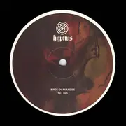 12inch Vinyl Single - Birds Ov Paradise - Till Dig
