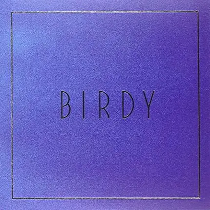 Birdy - Lost IT All