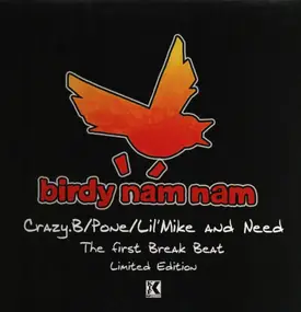 Birdy Nam Nam - The First Break Beat