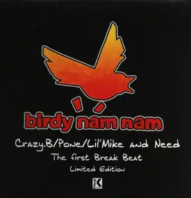 Birdy Nam Nam - The First Break Beat