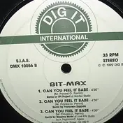 Bit-Max - Can You Feel It Babe (Remix)