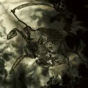 Bitterness Exhumed