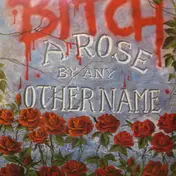 Bitch - A Rose By Any Other Name