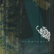 Son Kite - Tryptamin