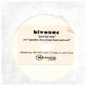7inch Vinyl Single - Bivouac - Good Day Song - promo