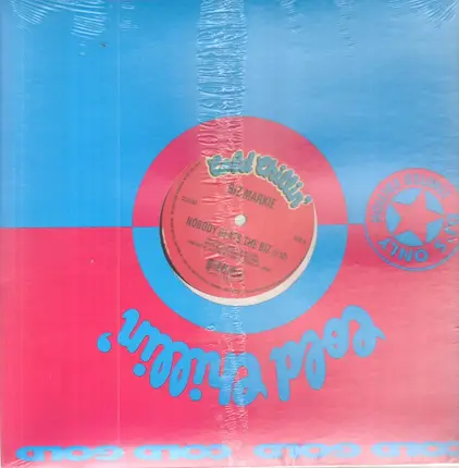 Biz Markie Featuring TJ Swan - Nobody Beats The Biz