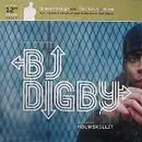 12'' - BJ Digby - Breakthrough / The Torch / Alive