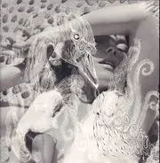 Björk - Vespertine