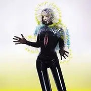 Double LP - Björk - Vulnicura