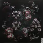 Double LP - Bjork - Fossora