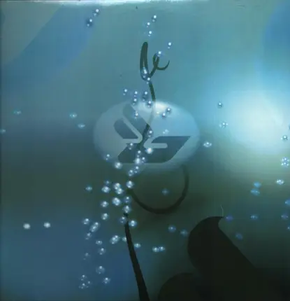 Björk - Jóga