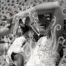 Double LP - Björk - Vespertine - 180gr