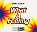 CD Single - Bjorn Again - Flashdance... What A Feeling