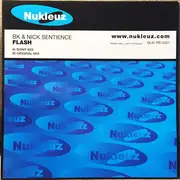 12inch Vinyl Single - BK & Nick Sentience - Flash - promo
