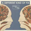 LP - Bombay Bicycle Club - A Different Kind Of Fix