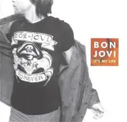 Bon Jovi - It's My Life