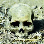 Bone Man - II