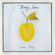 CD - Boney James - Sweet Thing