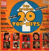 LP - Boney M, Wolfgang Petry, Frank Farian - Die Grossen 20 Top-Hits
