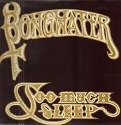 LP - Bongwater - Too Much Sleep - Gatefold