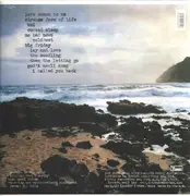 LP - Bonnie 'Prince' Billy - The Letting Go