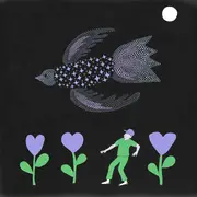 LP - Bonnie 'Prince' Billy - The Purple Bird
